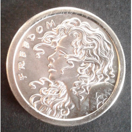 2013 1 Oz AOCS Silver Bullet Silver Shield Freedom Obverse