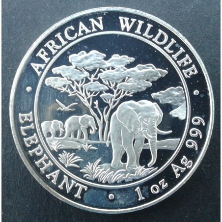 2012 1 Oz Somali Elephant Obverse