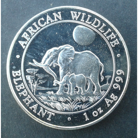2011 1 Oz Somali Elephant Obverse