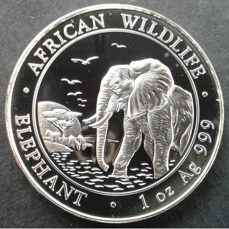 2010 1 Oz Somali Elephant Obverse