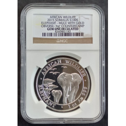 2015 1 Oz Somali Elephant Counterstamp ERROR Reverse
