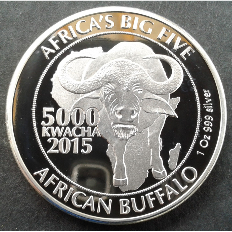 2015 1 Oz Zambia Big Five Buffalo Obverse
