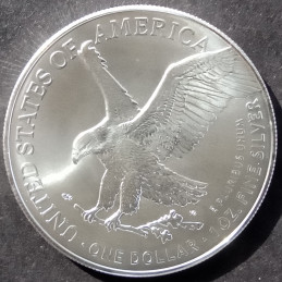 2023 1 Oz American Silver Eagle Reverse