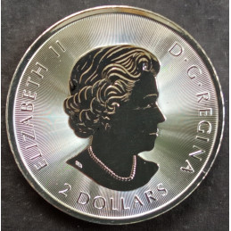 2018 1/2 Oz Canada Polar Bear Obverse
