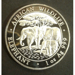 2013 1 Oz Somali Elephant Obverse