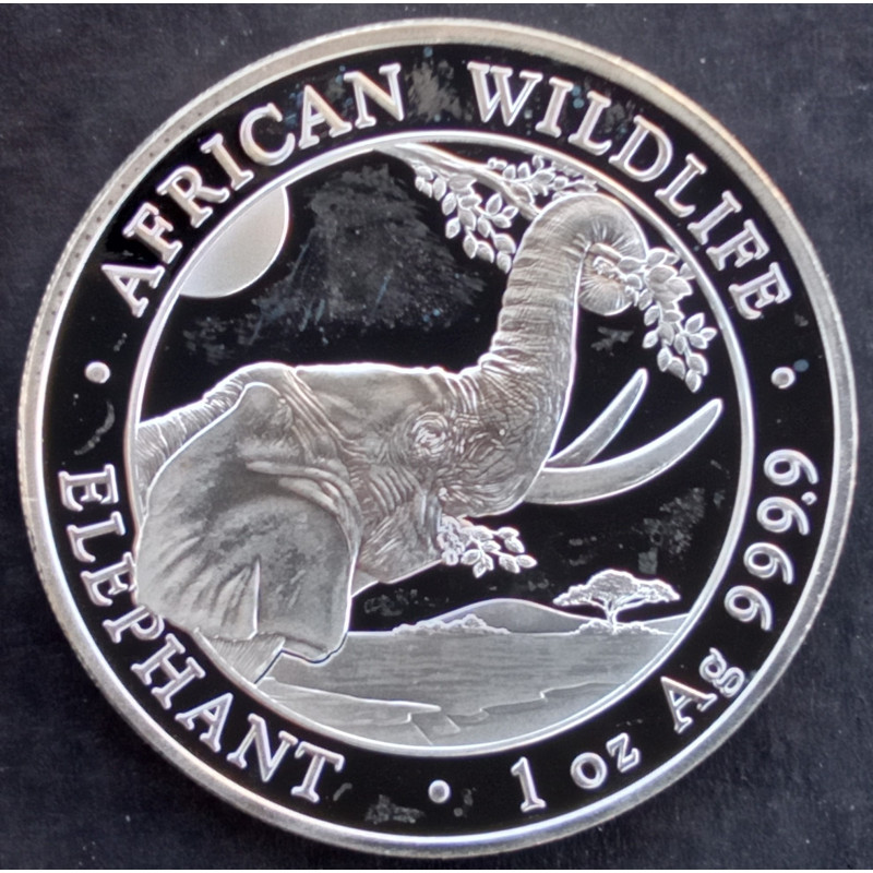 2023 1 Oz Somali Elephant Reverse