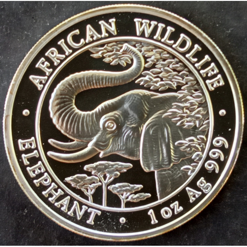 2005 1 Oz Somali Elephant Reverse