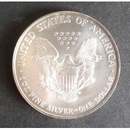 1996 1 Oz American Silver Eagle Reverse