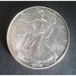 2002 1 Oz American Silver Eagle Obverse