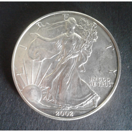 2002 1 Oz American Silver Eagle Obverse