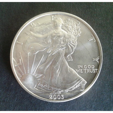 2003 1 Oz American Silver Eagle Obverse
