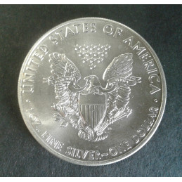 2013 1 Oz American Silver Eagle Reverse