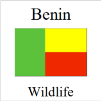 Government issued silver bullion coins from Benin