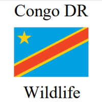 Government issued World Wildlife silver bullion coins from Congo Democratic Republic